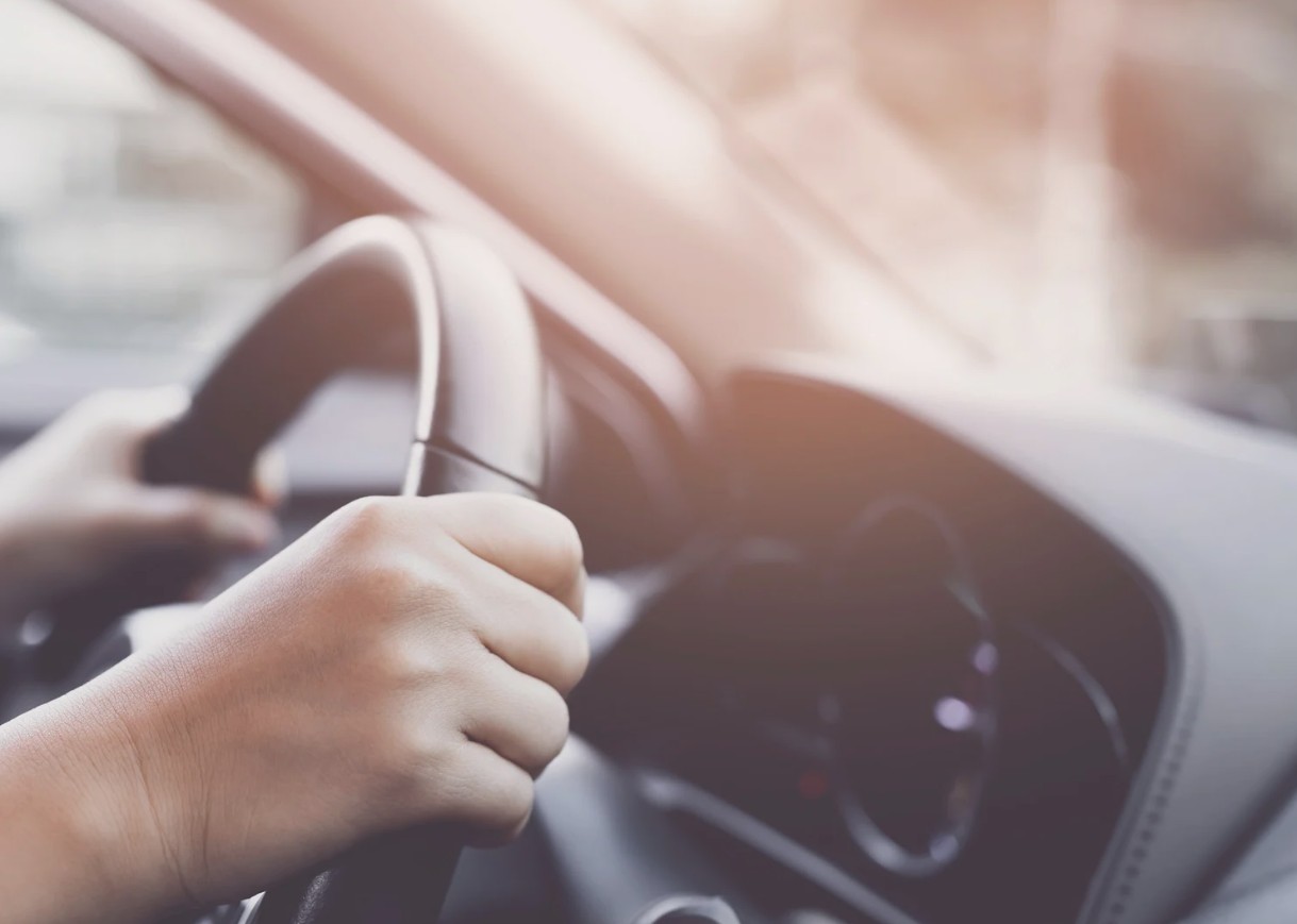 About Licensed Driver Registry